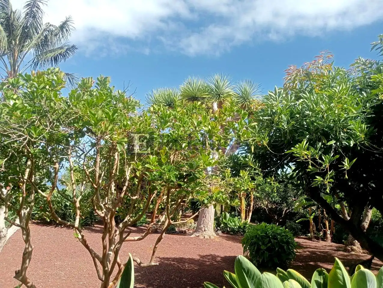 Garden of Houses for sale in La Orotava  with Air Conditioner, Private garden and Terrace
