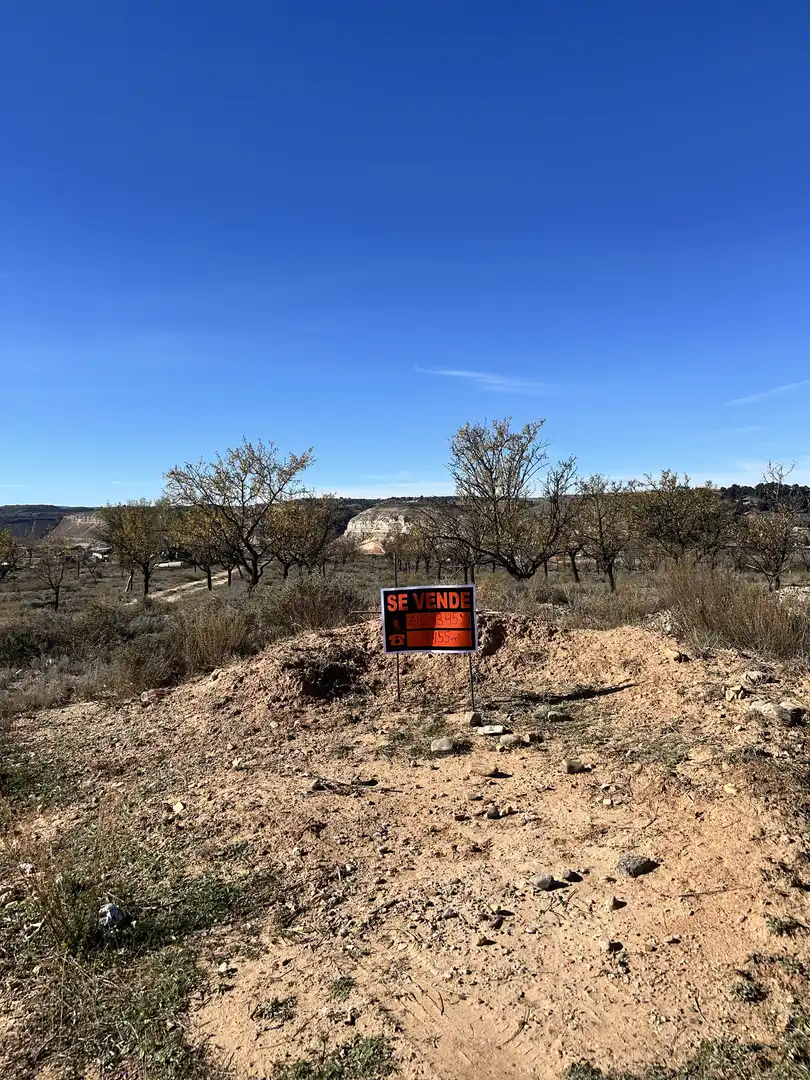 Land for sale in Teruel
