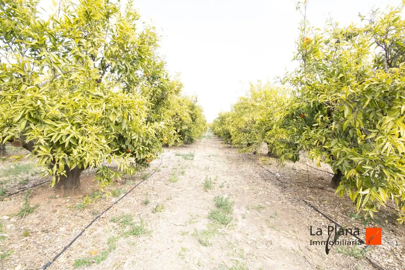 Finca rústica en venda en Santa Bàrbara amb Aire condicionat, Piscina i Moblat