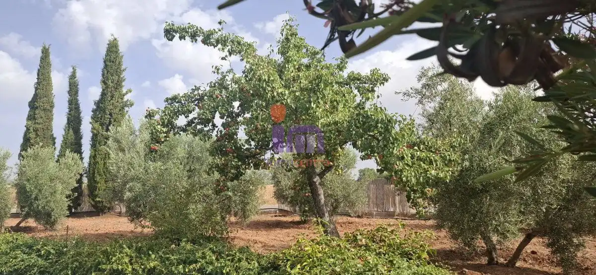 Casa o xalet en venda en Valdepeñas amb Jardí privat i Piscina