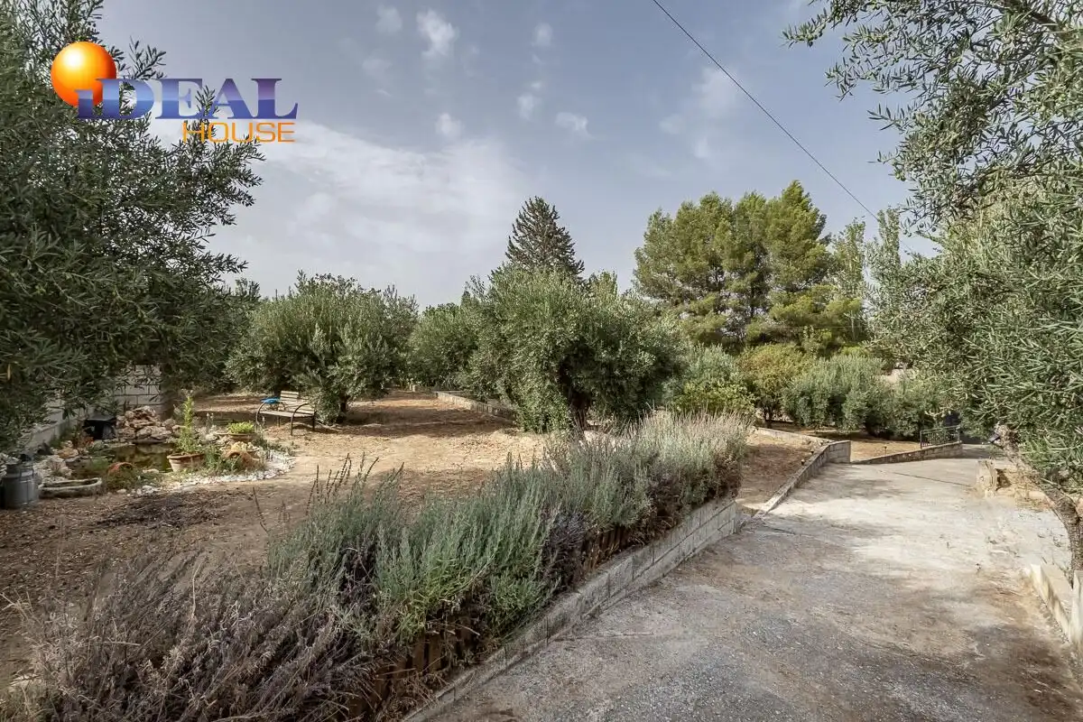 Xalet amb piscina en venda a Aljomahima - Ermita, imagen 48