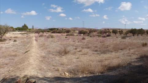 Foto 2 de Terreny industrial en venda a Carrer Mutxamel, Zona de - Mutxamel, Cami Sabateta, -1, La Huerta, Alicante