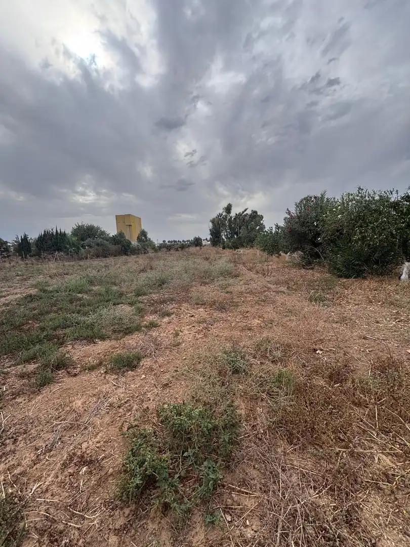 Casa con piscina en venta en Los Palacios y Villafranca, imagen 27