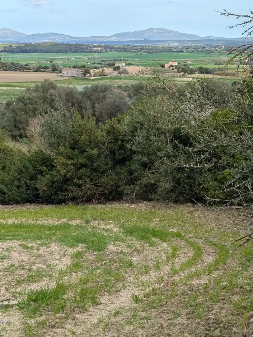 Rustikales Grundstück zum Verkauf in Llubí, imagen 5