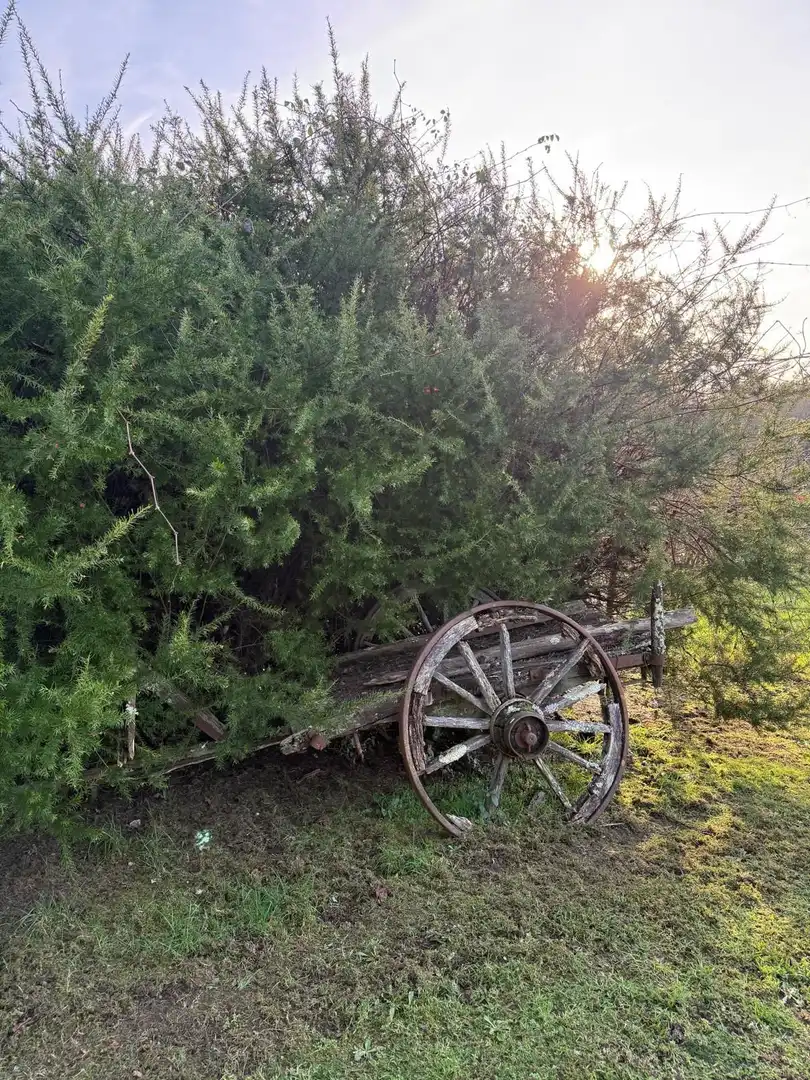 Vista exterior de Finca rústica en venta en Monfero con Calefacción, Jardín privado y Amueblado