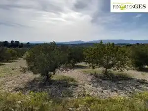 Rural land for sale in La Secuita, imagen 14