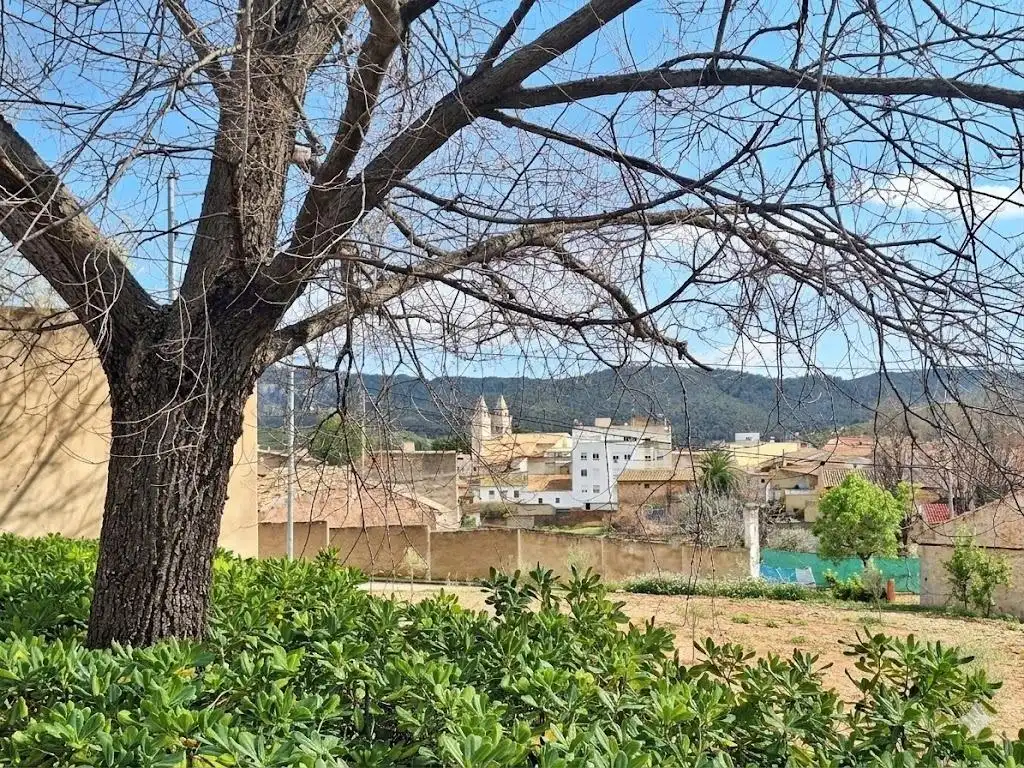 Vista exterior de Casa o chalet en venta en Algueña con Calefacción, Balcón y Jacuzzi