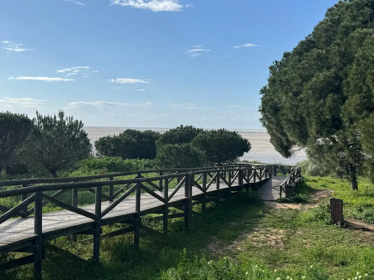 Villa mit Garten zum Verkauf in Calle MAR SERENA, imagen 46