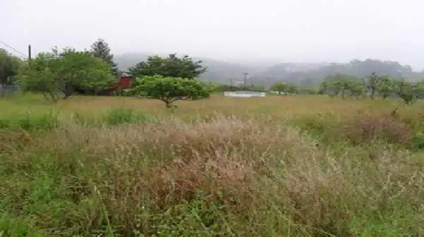 Residential for sale in Lemoiz, Bizkaia