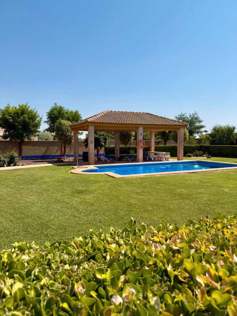 Piscina de Casa o xalet en venda en Torralba de Calatrava amb Aire condicionat, Calefacció i Jardí privat