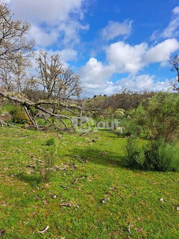 Terreno en Venta en N/A en Valencia de Alcántara
