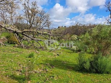 Terreno rústico en venta en Poligono