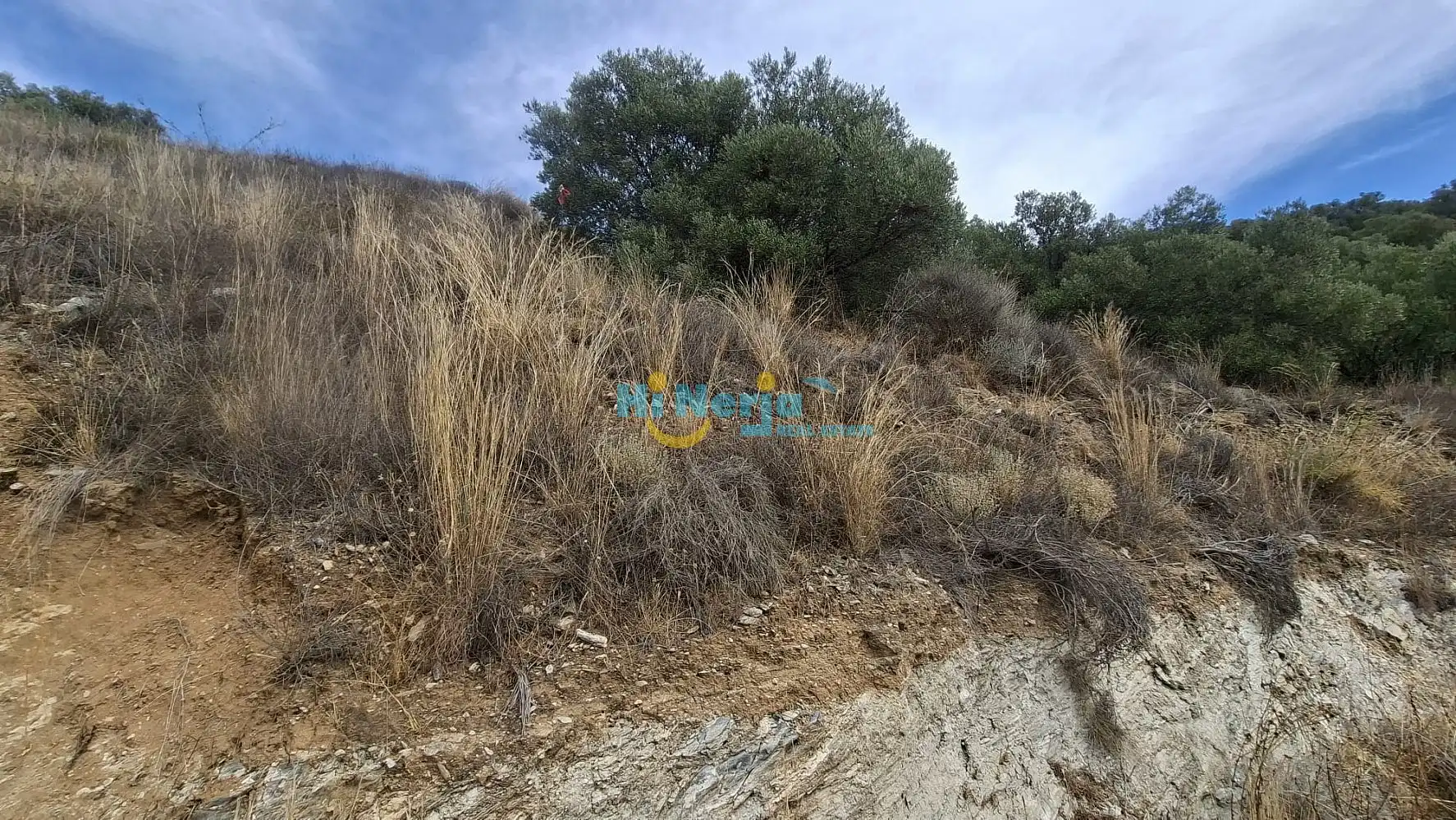 Terrenys i solars en venda a Centro, imagen 16