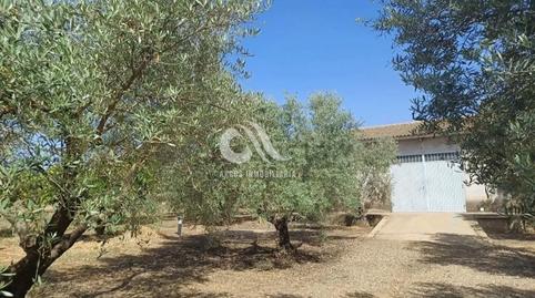 Photo 2 of Country homes for sale in Villarrubia,  Córdoba Capital