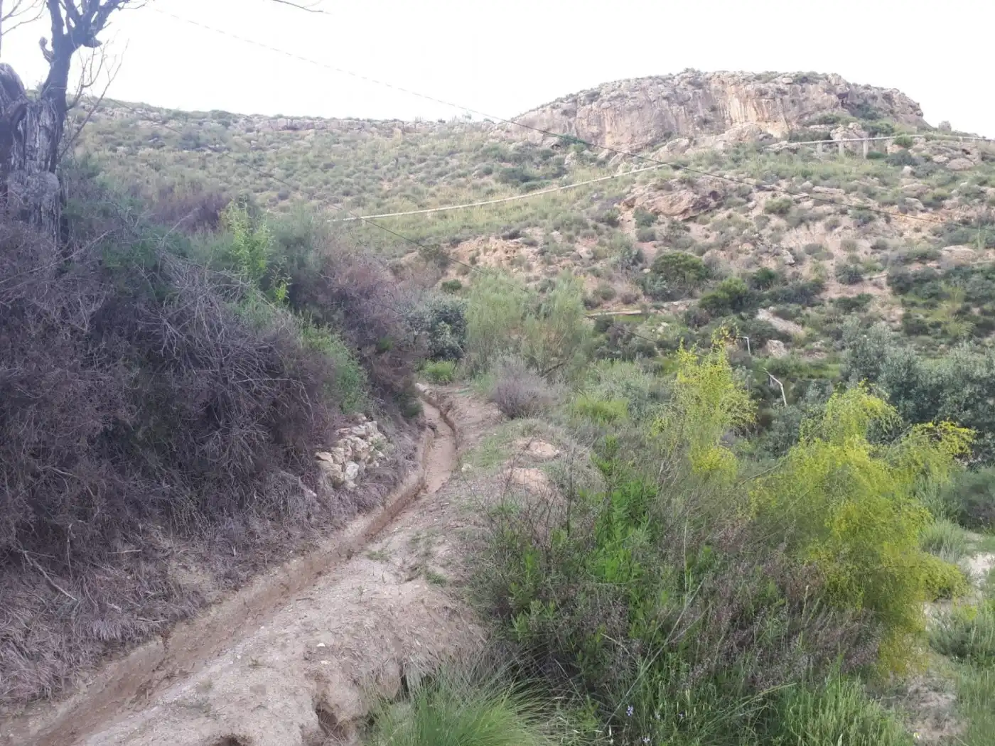 Finca rústica en venda en Urrácal