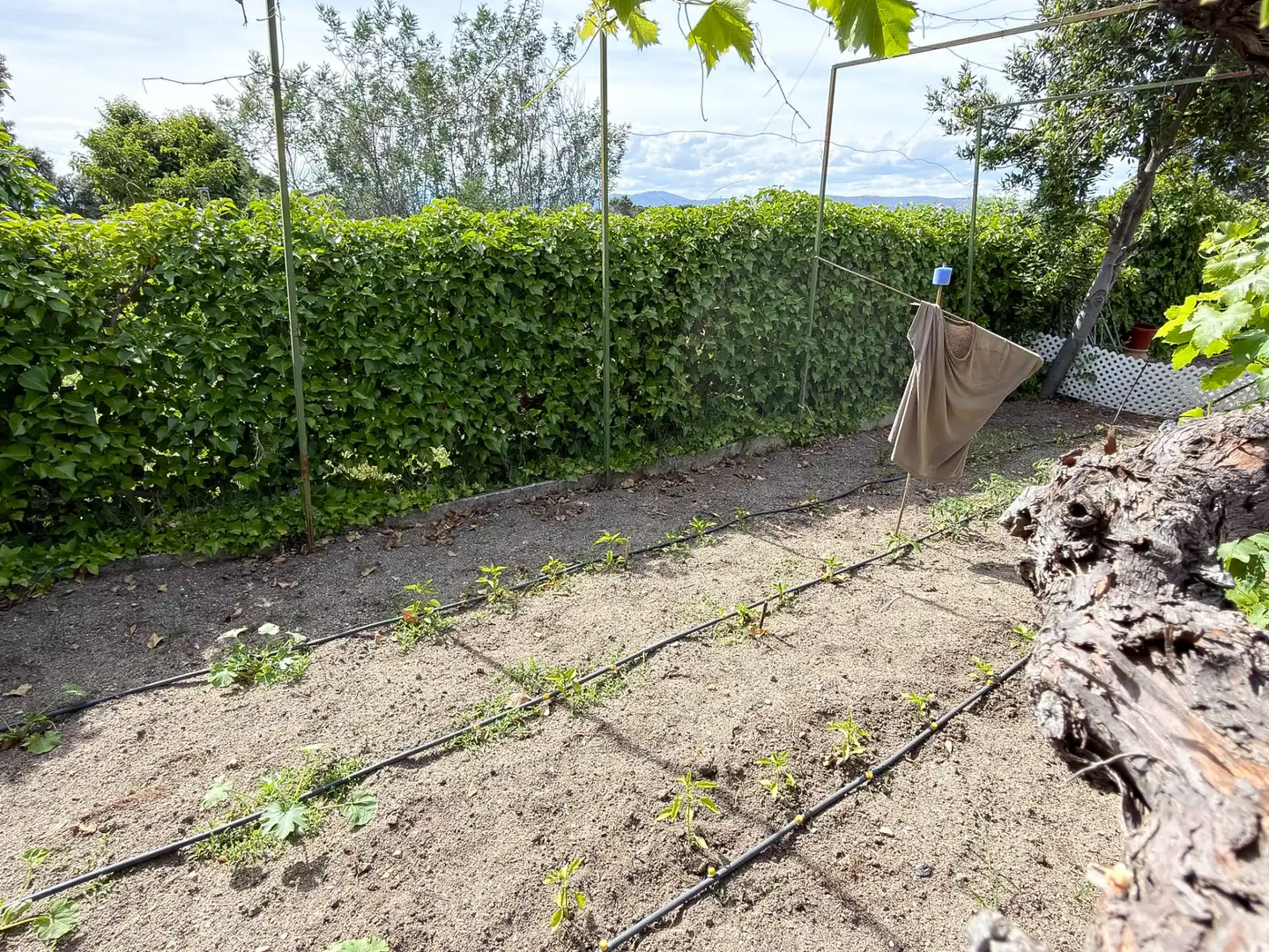 Jardí de Casa o xalet en venda en Santa Cruz del Retamar amb Calefacció, Jardí privat i Terrassa