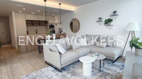 Foto 4 de Finca rústica en venda a Torre de la Horadada, Alicante