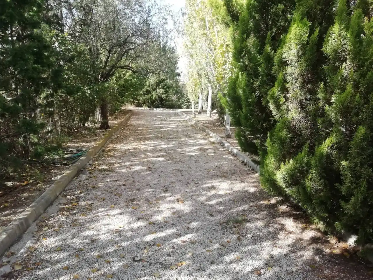 Finca rústica en venta en Pasaje PARTIDA CABRERAS, 39105, Sax