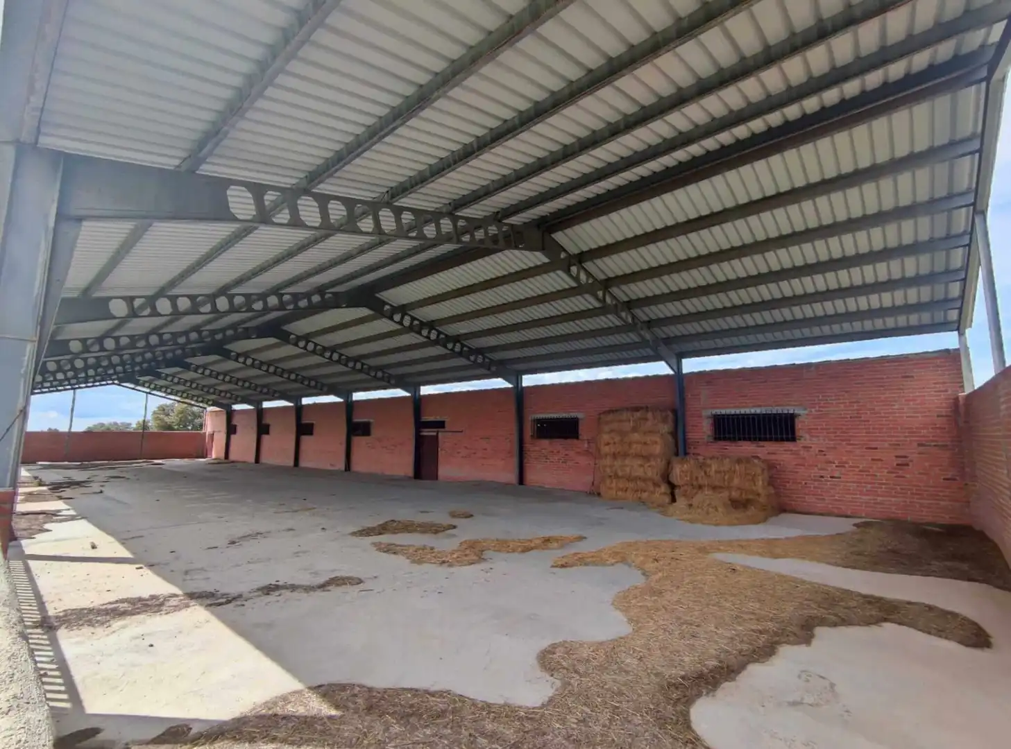 Vista exterior de Finca rústica en venta en Maello