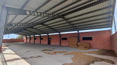 Foto 5 de Finca rústica en venda a Maello, Ávila