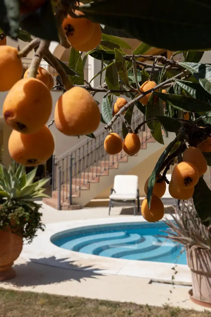 Villa con piscina in vendita a La Quinta, imagen 42