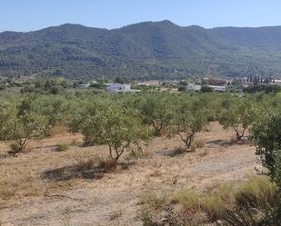 Residential for sale in Alforja