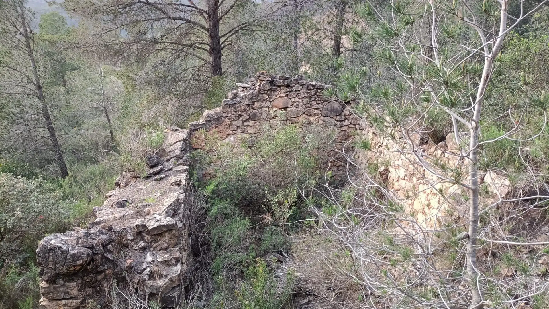 Terreno rustico in vendita a Móra d'Ebre, imagen 9