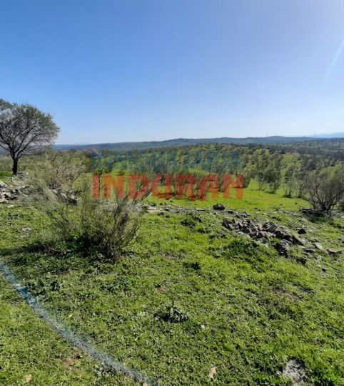 Foto 2 de Finca rústica en venta en Valdelacasa de Tajo, Cáceres