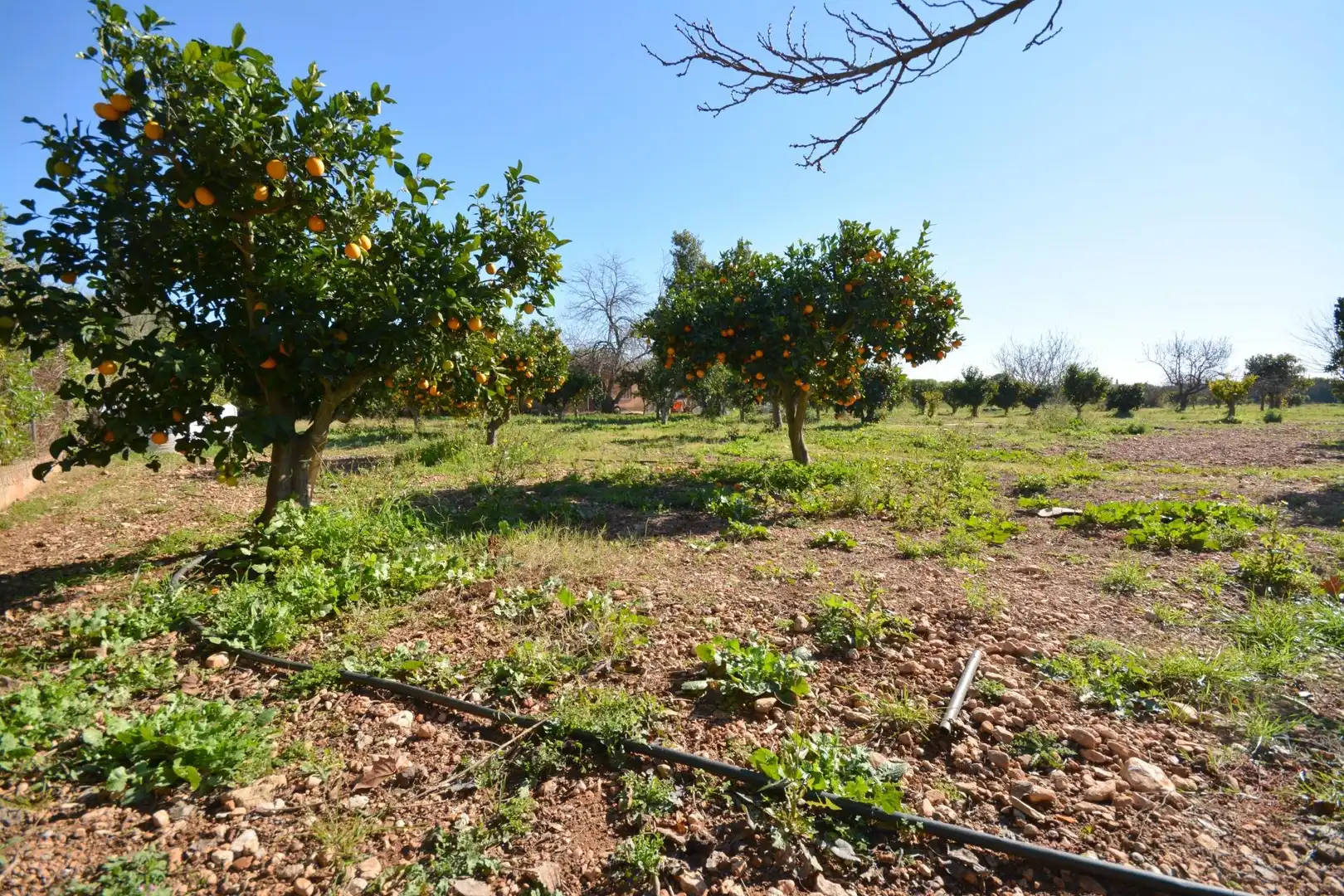 Finca rústica en venda en Marratxí amb Aire condicionat, Calefacció i Jardí privat