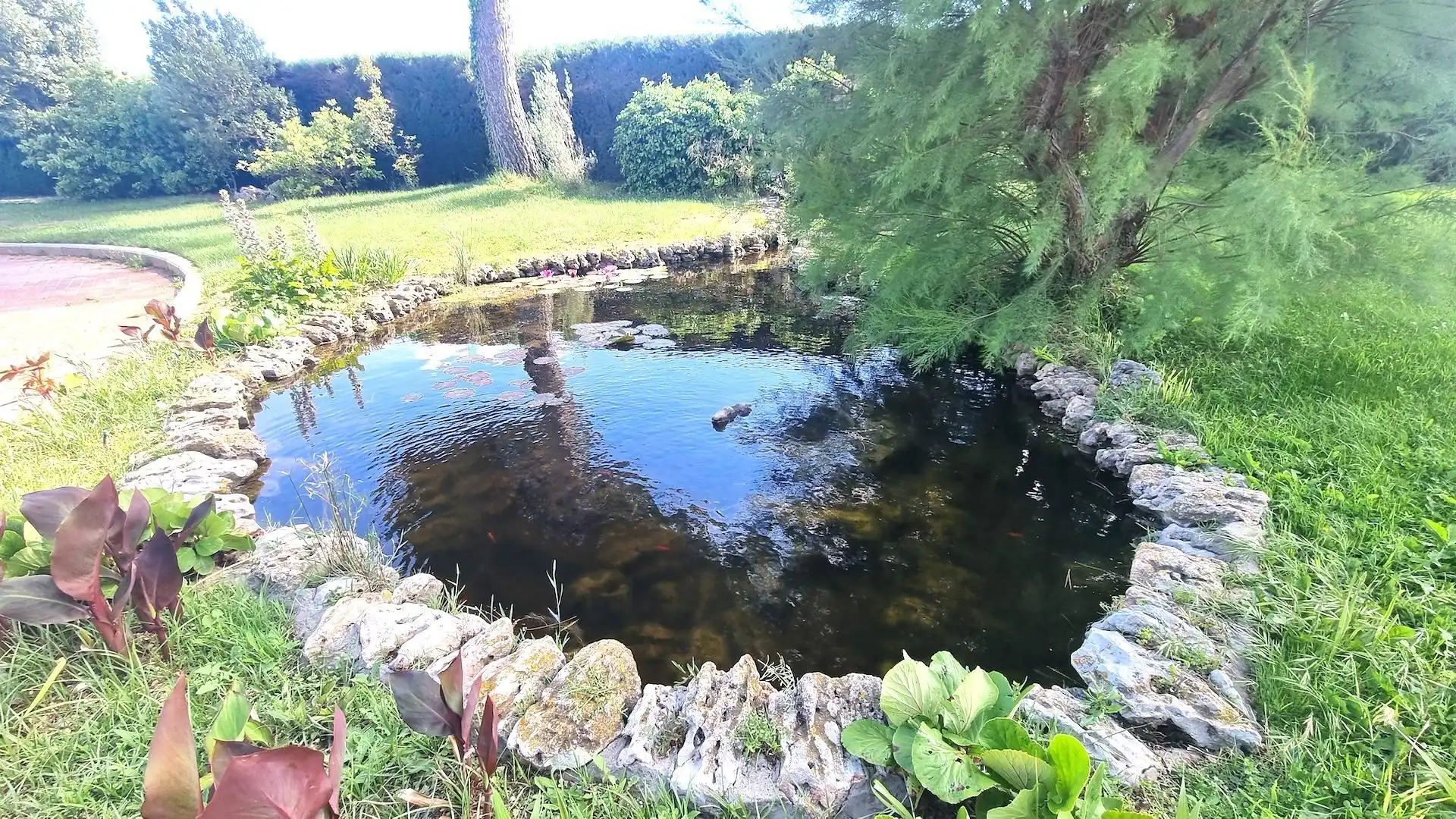 Schwimmbecken von Haus oder Chalet zum Verkauf in Zaragoza