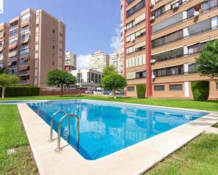 Piscina de Apartament de lloguer en Benidorm amb Calefacció, Jardí privat i Terrassa