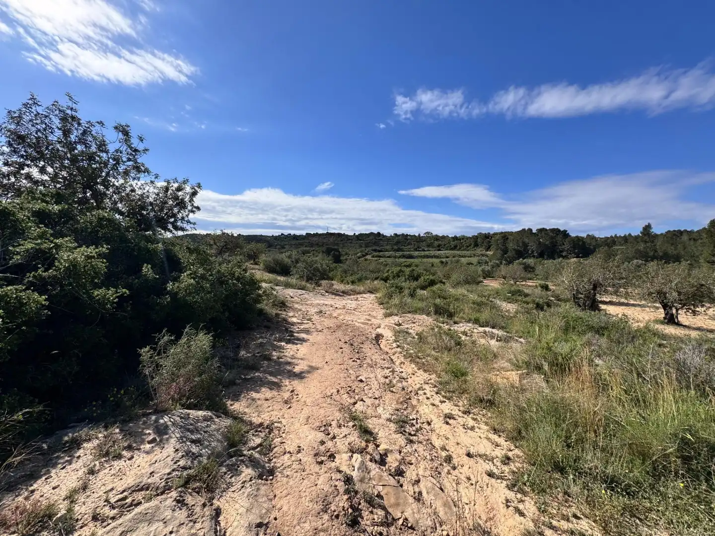 Land for sale in Polígono 26 Parcela 21 CASA BLANCA-BARBETA. TORRE, 26, Poligono Mas del Jutge