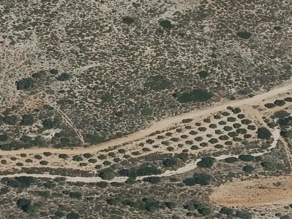 Terreny residencial en venda a LES ALQUERIES 7 PARTIDA.NUMERO 6 Polígono 6 Parce