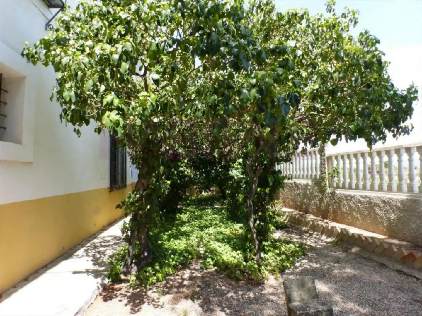 Terreny residencial en venda a Tibi, Ctra S. Vicente-Alcoy. Torrosellas, Polígono 1 parcela 25 + casa, imagen 32