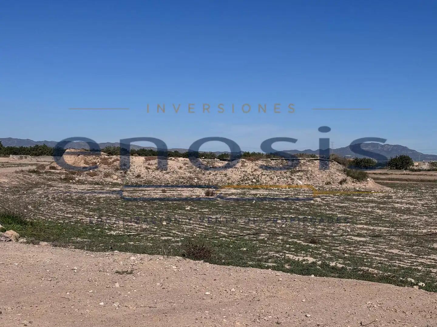 Finca rústica en venta en Torre-Pacheco