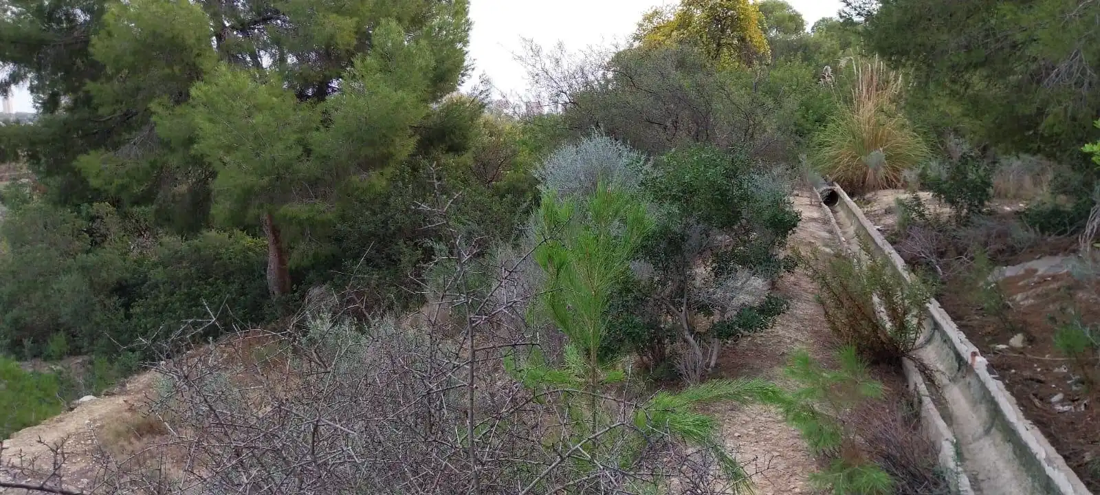 Wohnbaugrundstück zum Verkauf in Platja de Torres, imagen 4