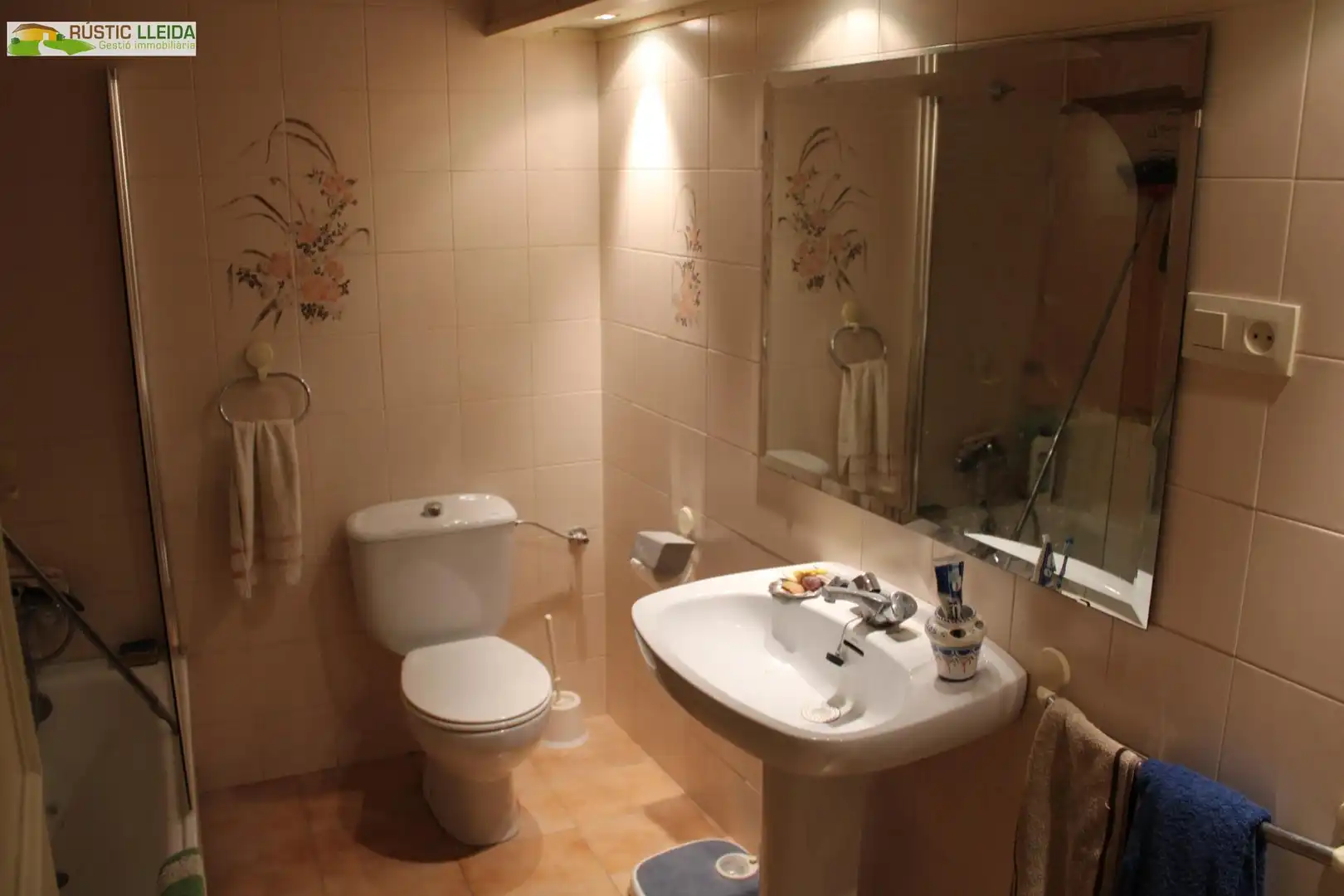 Bathroom of Country homes for sale in Juncosa