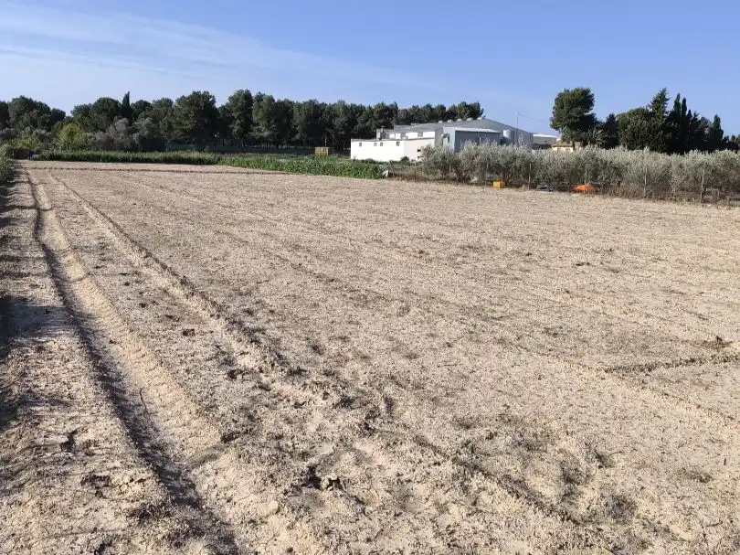 Terreno en venta en Benijófar