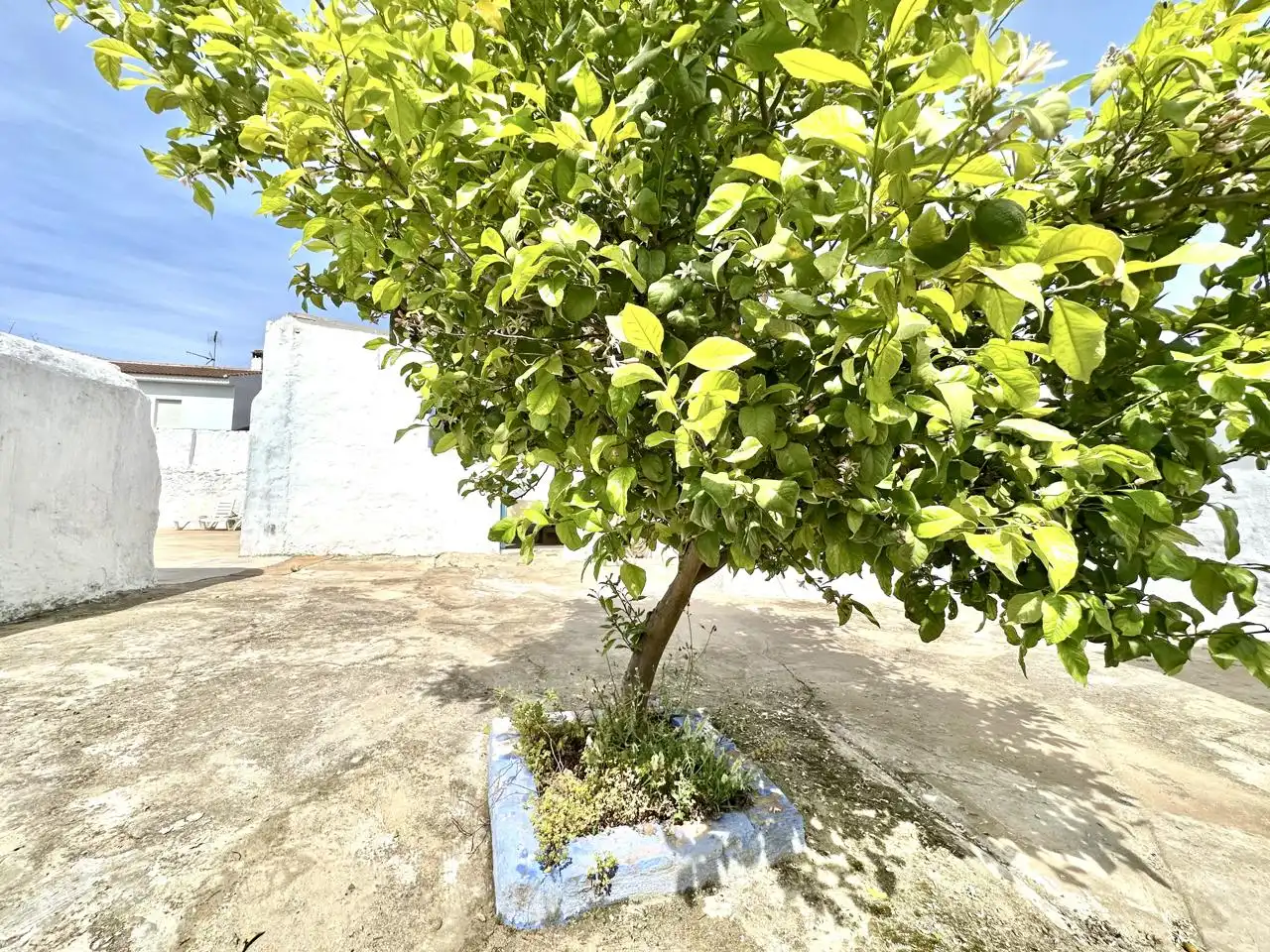 Jardín de Casa o chalet en venta en Antequera con Aire acondicionado, Jardín privado y Parquet
