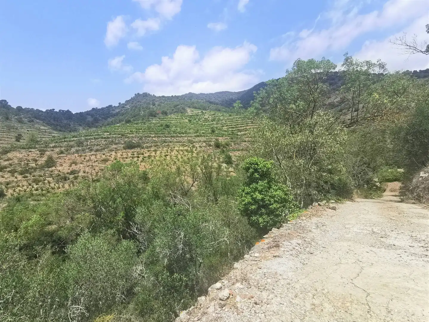 Casa o chalet en venta en Porrera con Calefacción, Jardín privado y Terraza
