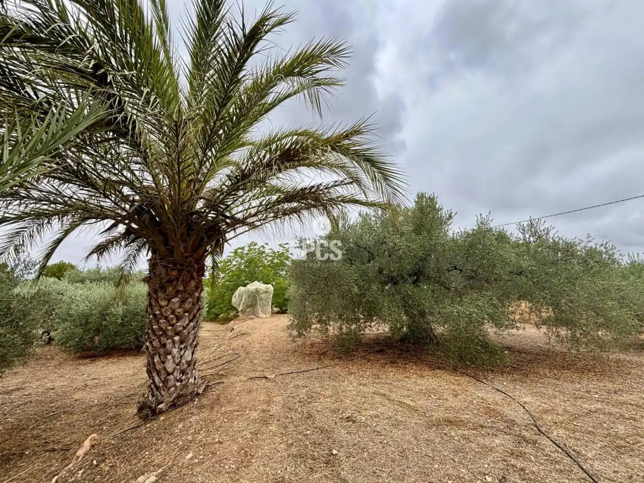 Chalet con jardín en venta en Travesia Zona Llano de las Cabras - Aledo S/N, imagen 8