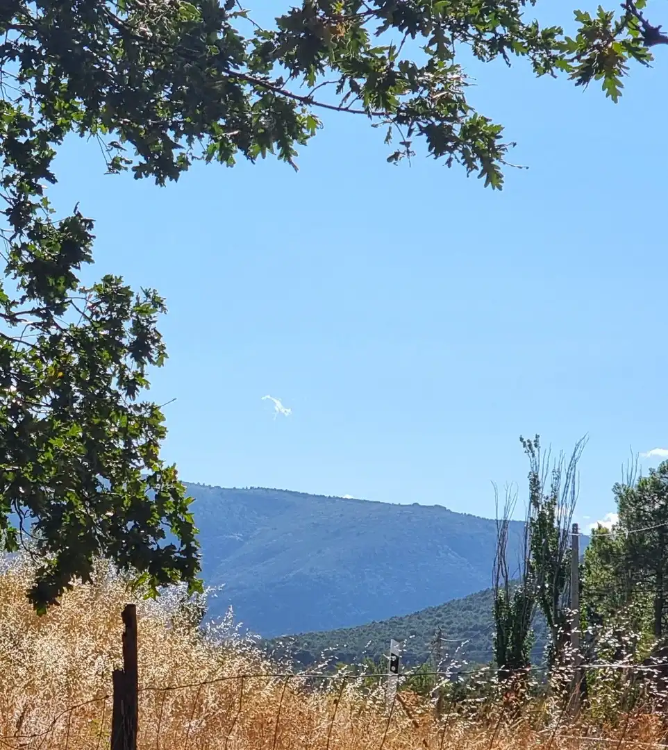Terreno rustico in vendita a Carretera de Valdemanco 33, imagen 5