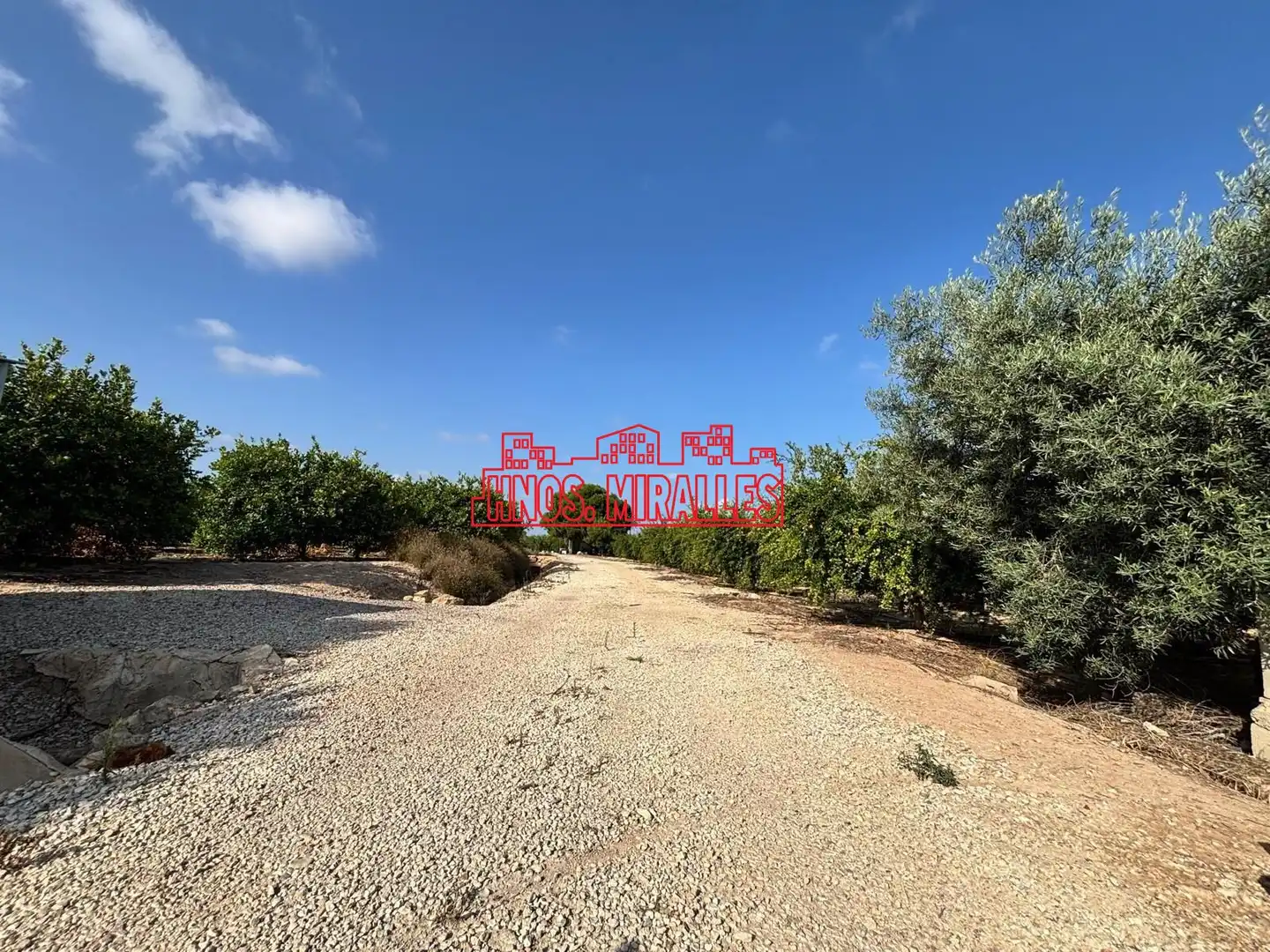 Rural land for sale in Las Bayas, imagen 3