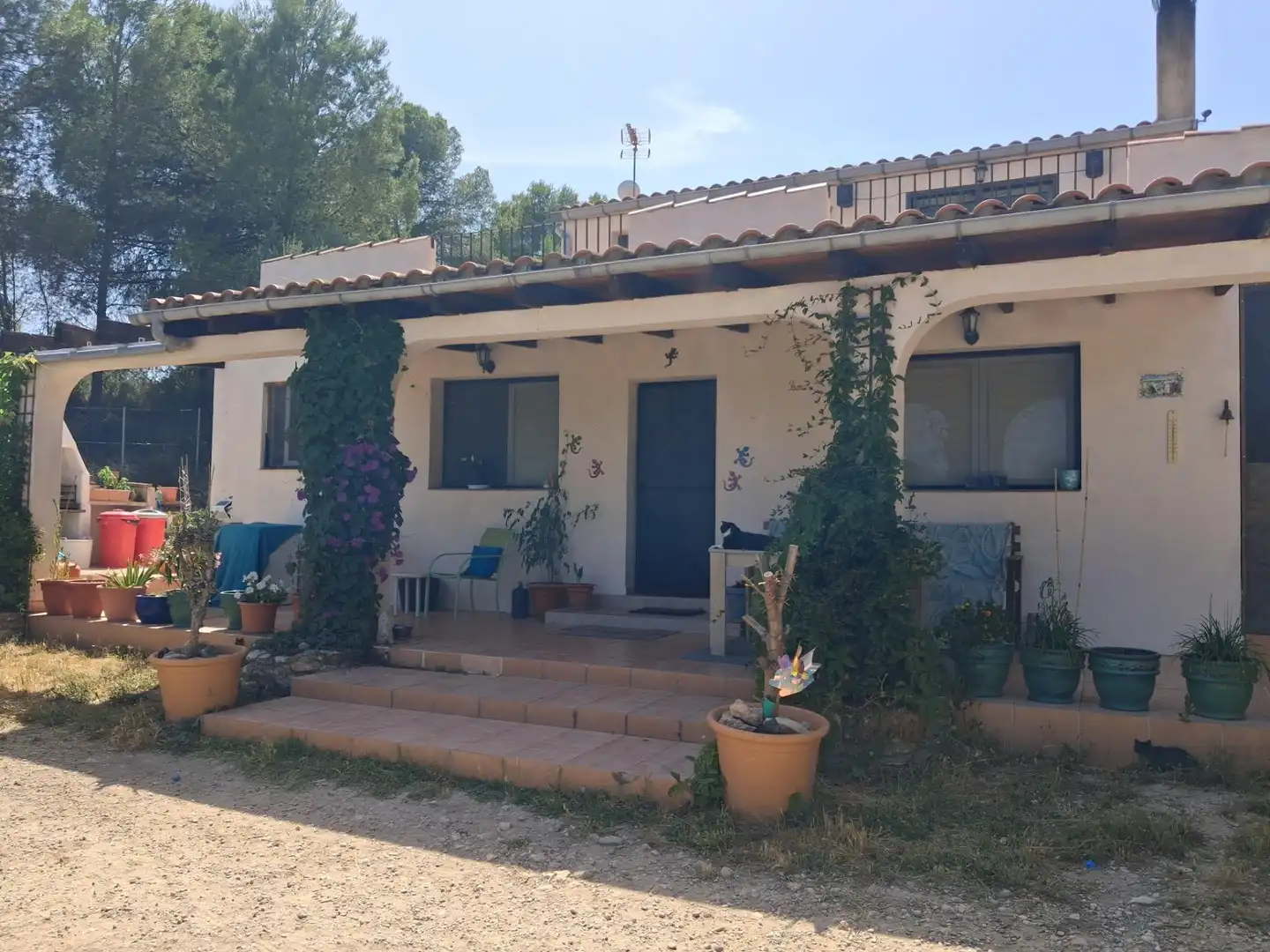 Vista exterior de Finca rústica en venda en Móra d'Ebre