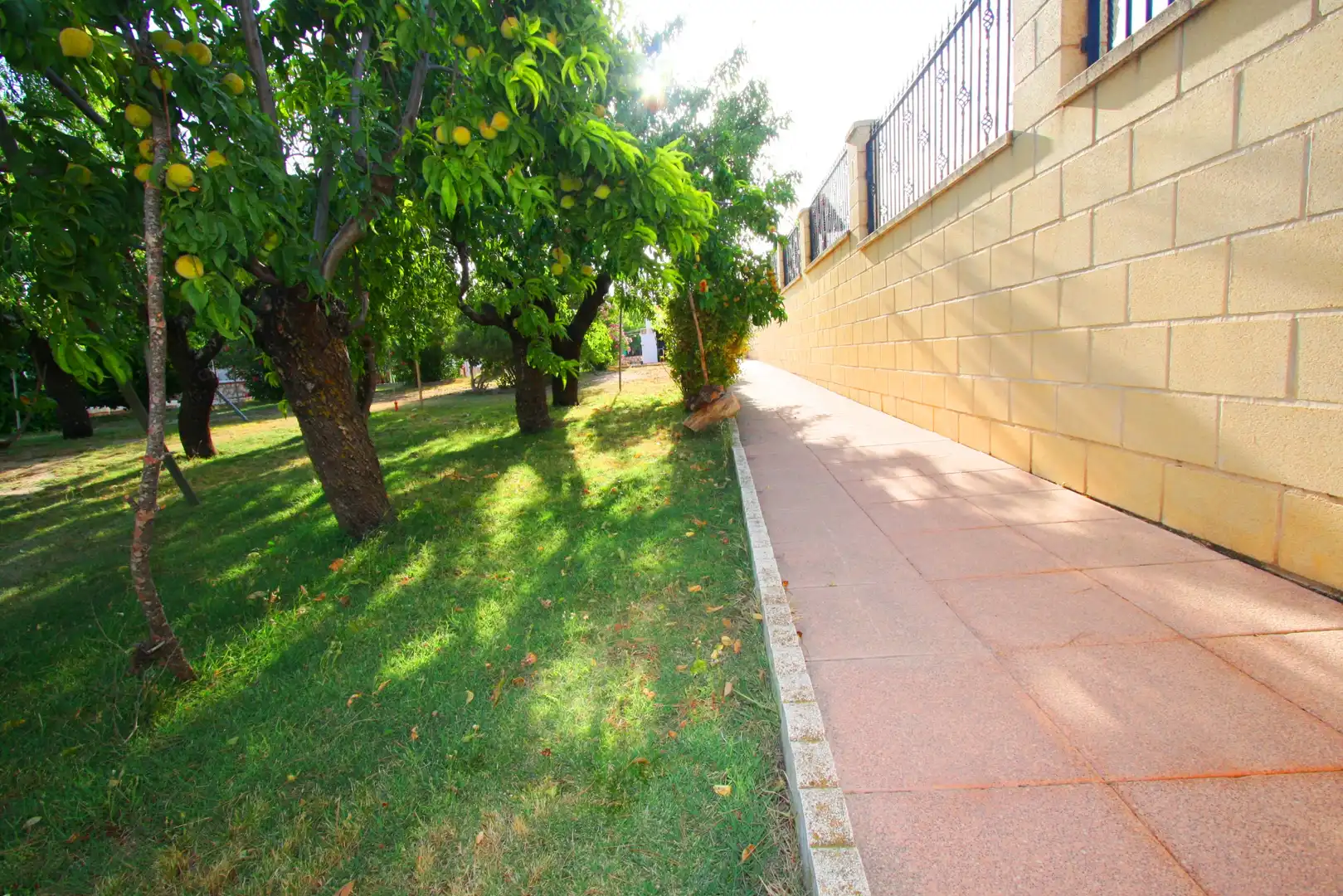 Jardí de Casa o xalet en venda en Albacete amb Aire condicionat, Calefacció i Terrassa