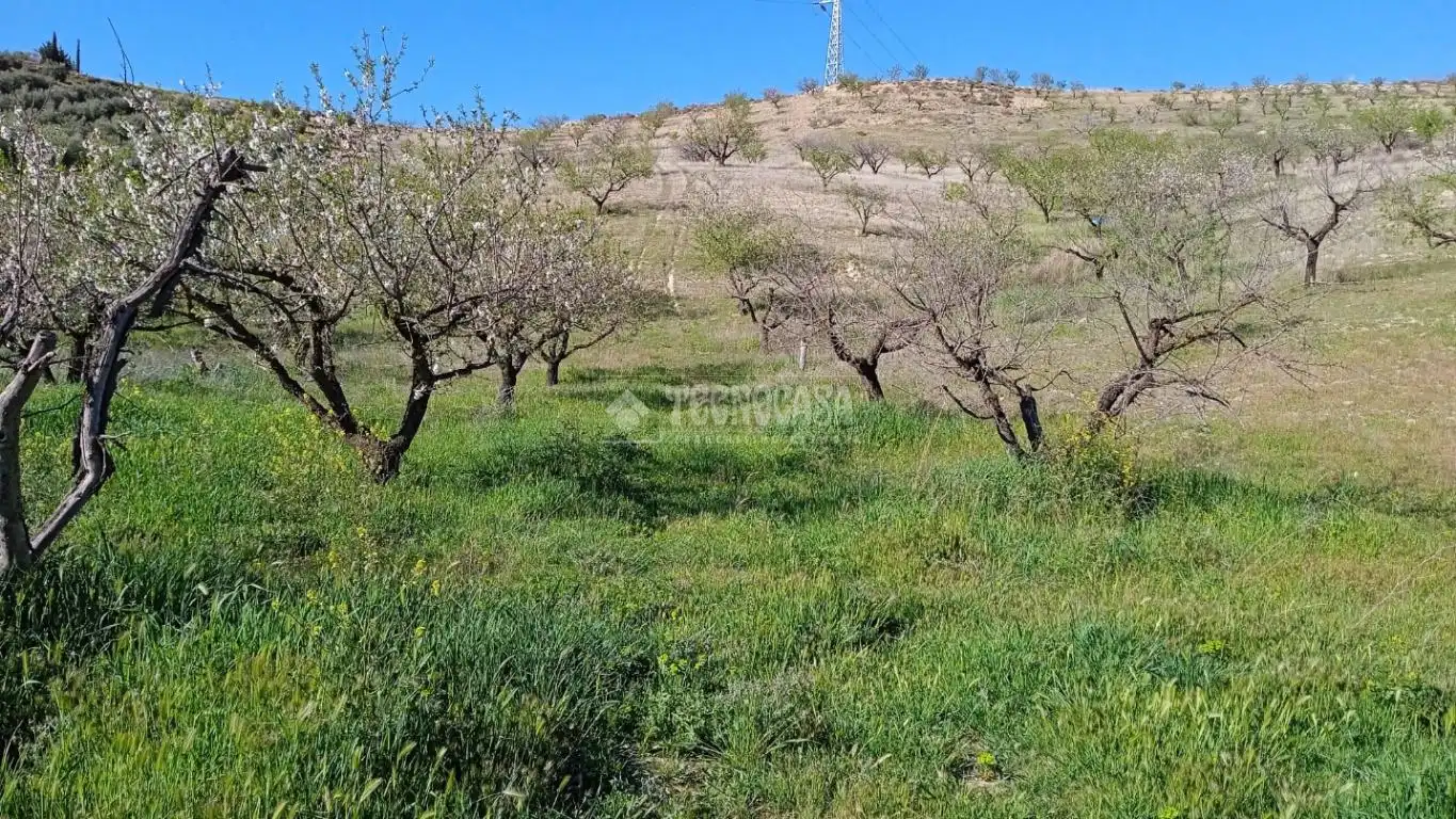 Terreny en venda en Gójar