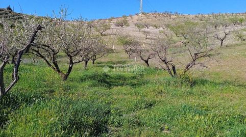 Terrenos en venta en Gójar