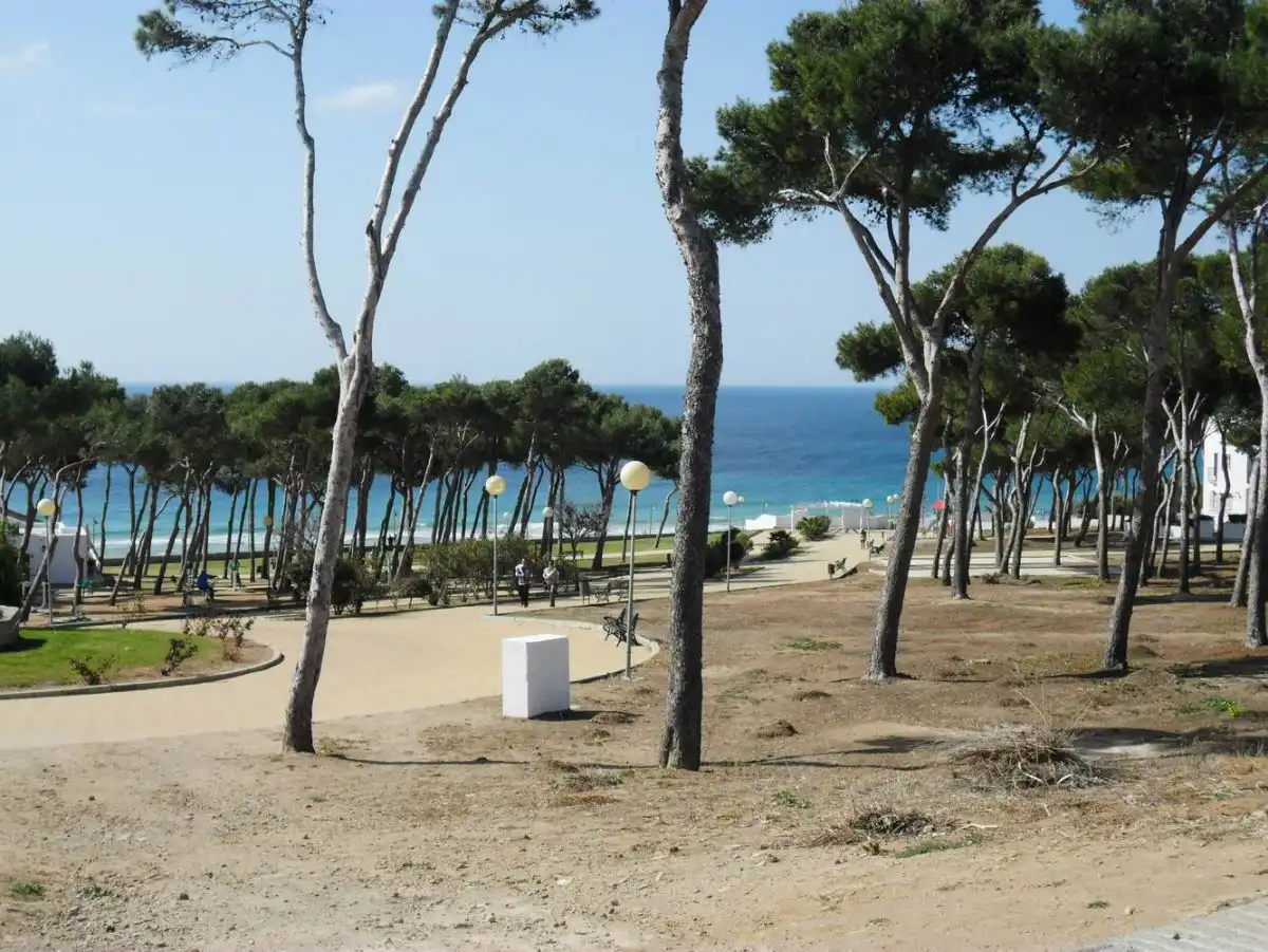 Mini appartamento in affitto a Conil
