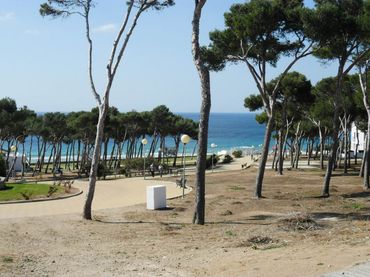 Apartment to rent in Conil