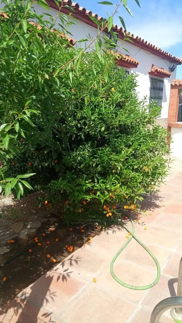 Chalet con piscina en venta en El Zabal - Santa Margarita, imagen 27